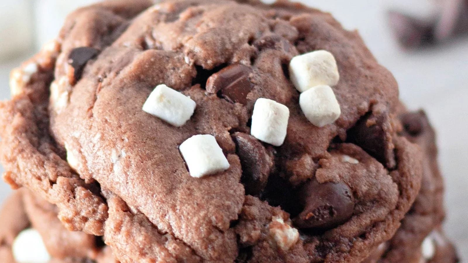 Hot Cocoa Cookies