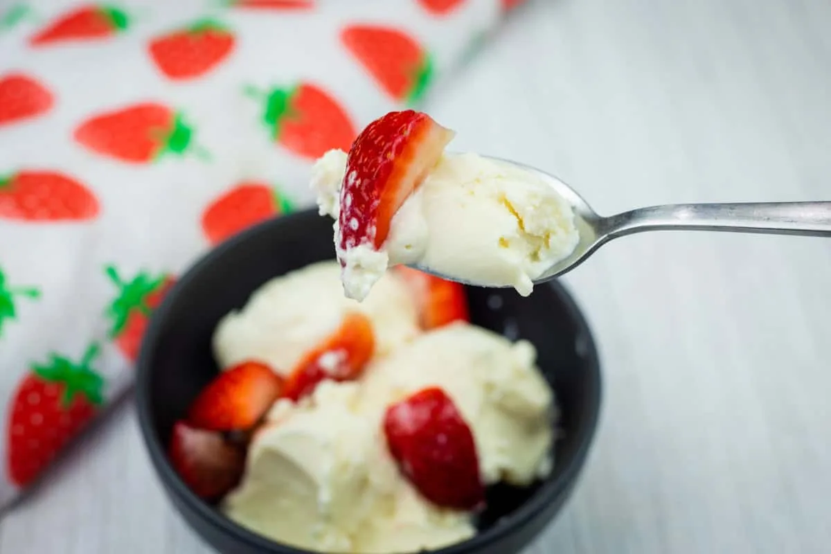 Ninja Creami Vanilla Base with Cream Cheese