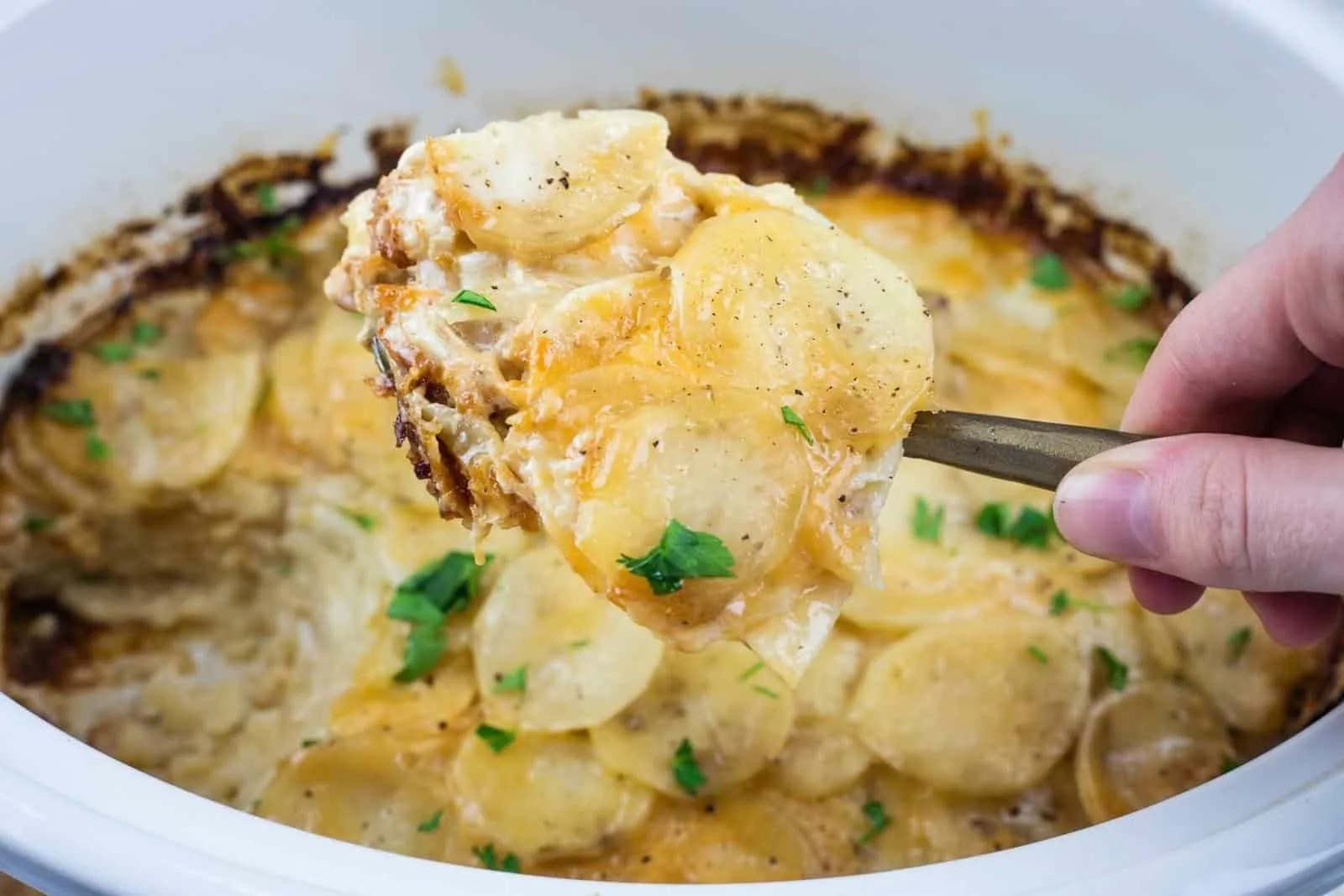 Vintage Slow Cooker Scalloped Potatoes Recipe