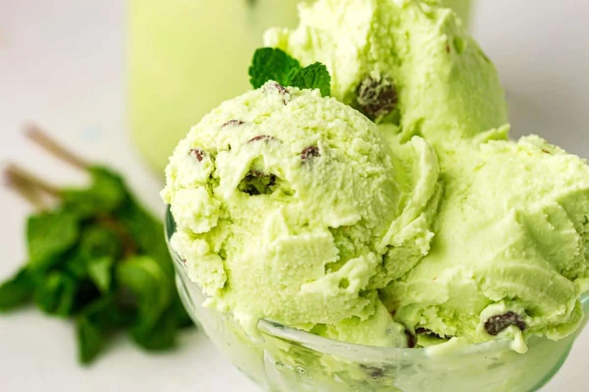 Mint Chocolate Chip Ninja Creami Ice Cream