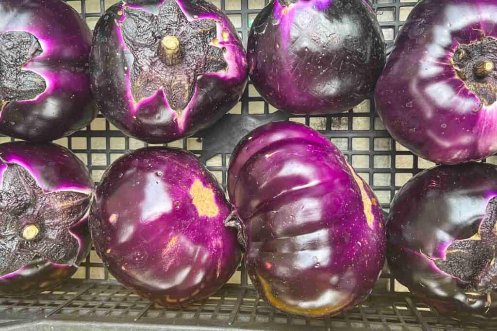 A bunch of purple eggplants are sitting on a metal rack.