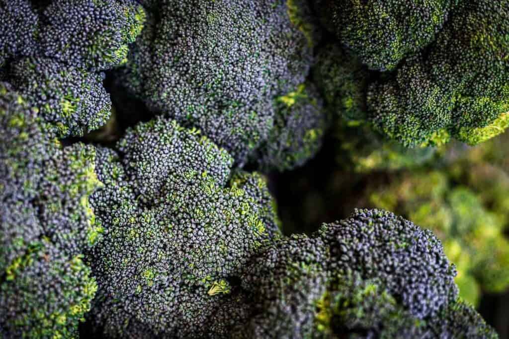 A close up of broccoli.
