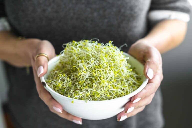 A woman holding a bowl of sprouts.