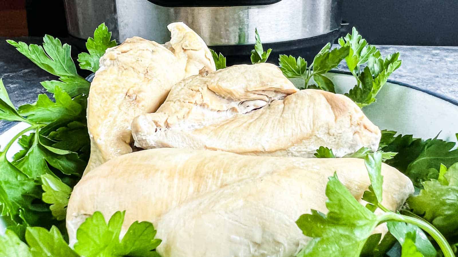 Cooked Frozen Chicken on a plate with herbs and Instant Pot behind.