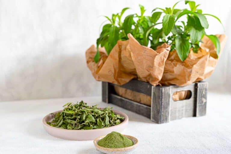 A bowl of green powder next to a plant in a wooden crate.