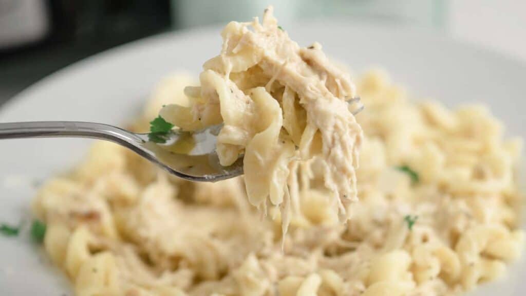 A fork full of chicken pasta on a white plate.