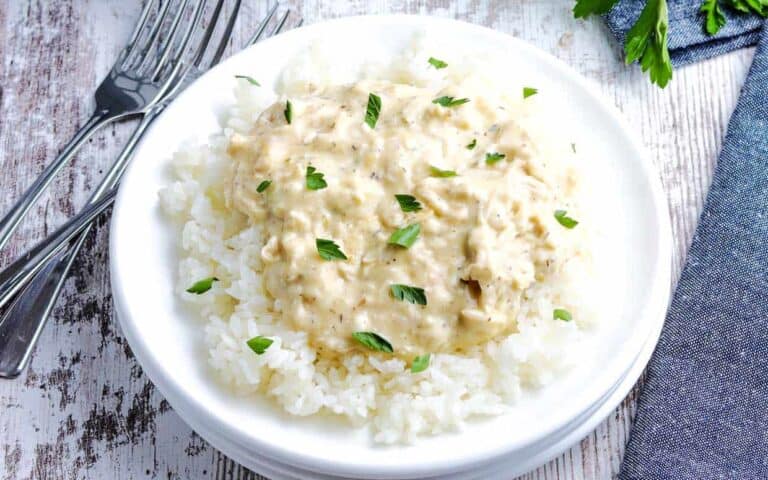 A white plate with chicken gravy and rice.