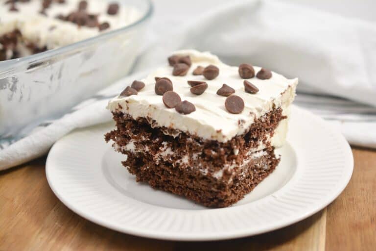 A slice of chocolate cake on a white plate.