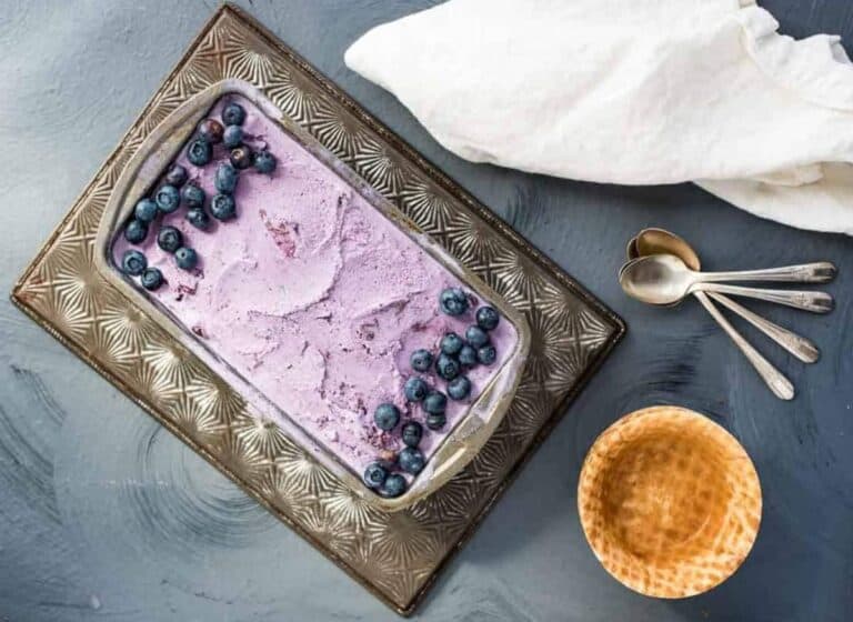 A bowl of ice cream with blueberries on it.