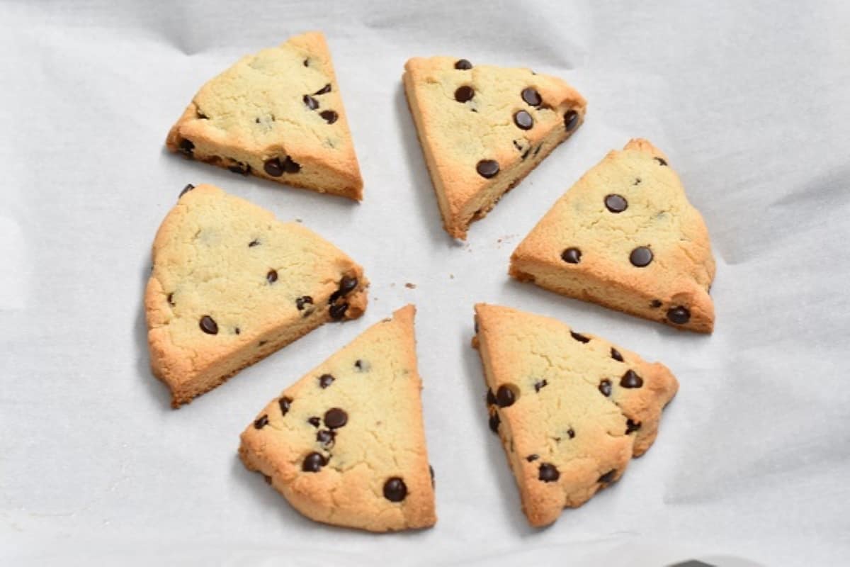 Chocolate chip scones on a piece of parchment paper.