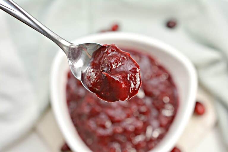 A spoonful of cranberry sauce in a white bowl.