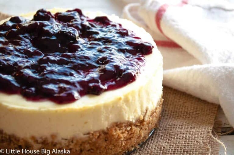 A cheesecake with blueberries on top.