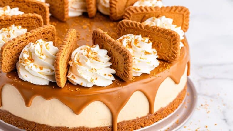 Biscoff cheesecake with whipped cream, Biscoff butter, and cookies.