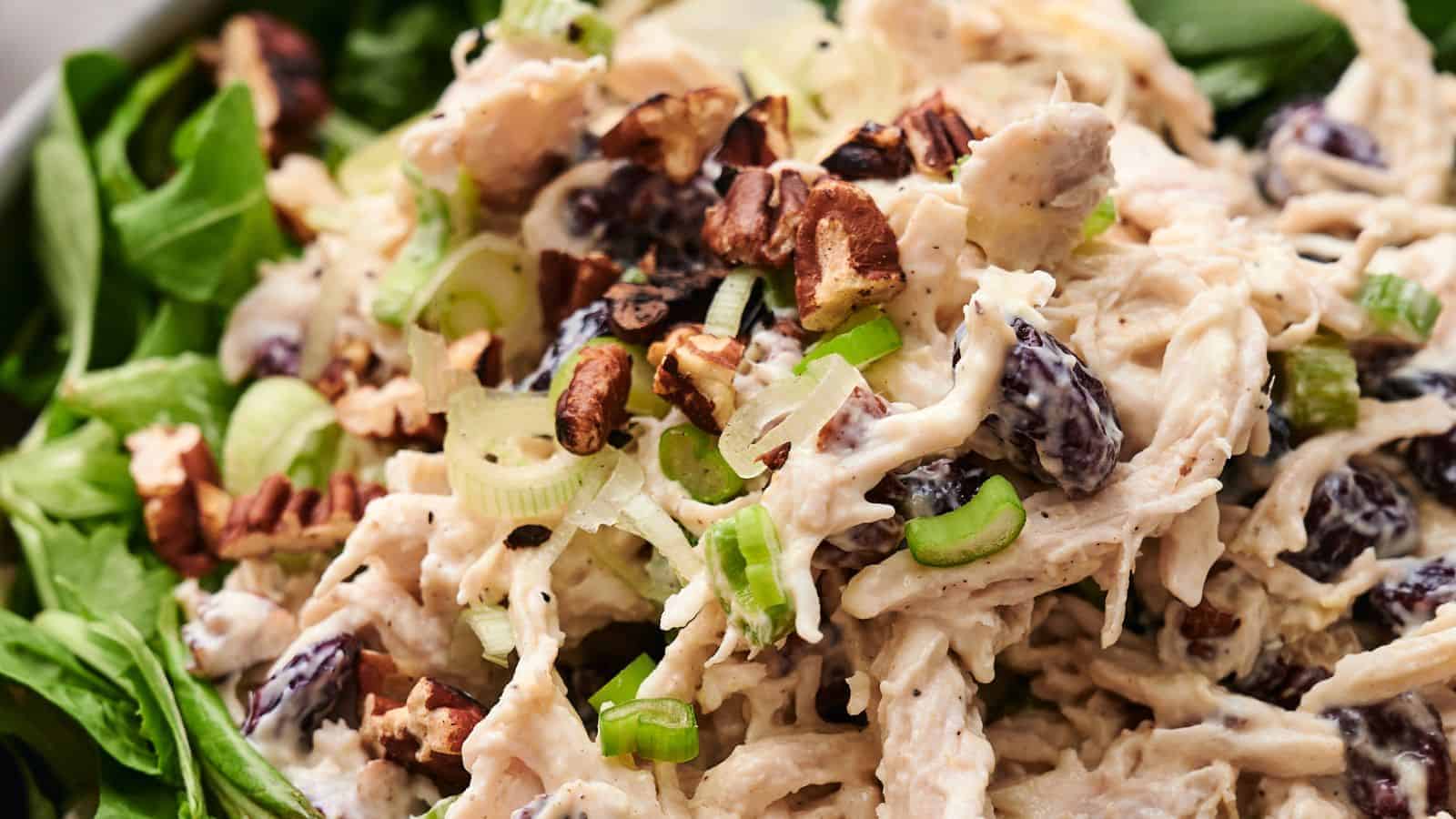 Close-up of a flavorful chicken salad with diced chicken, green onions, chopped pecans, and raisins, all served on a bed of fresh spinach leaves.