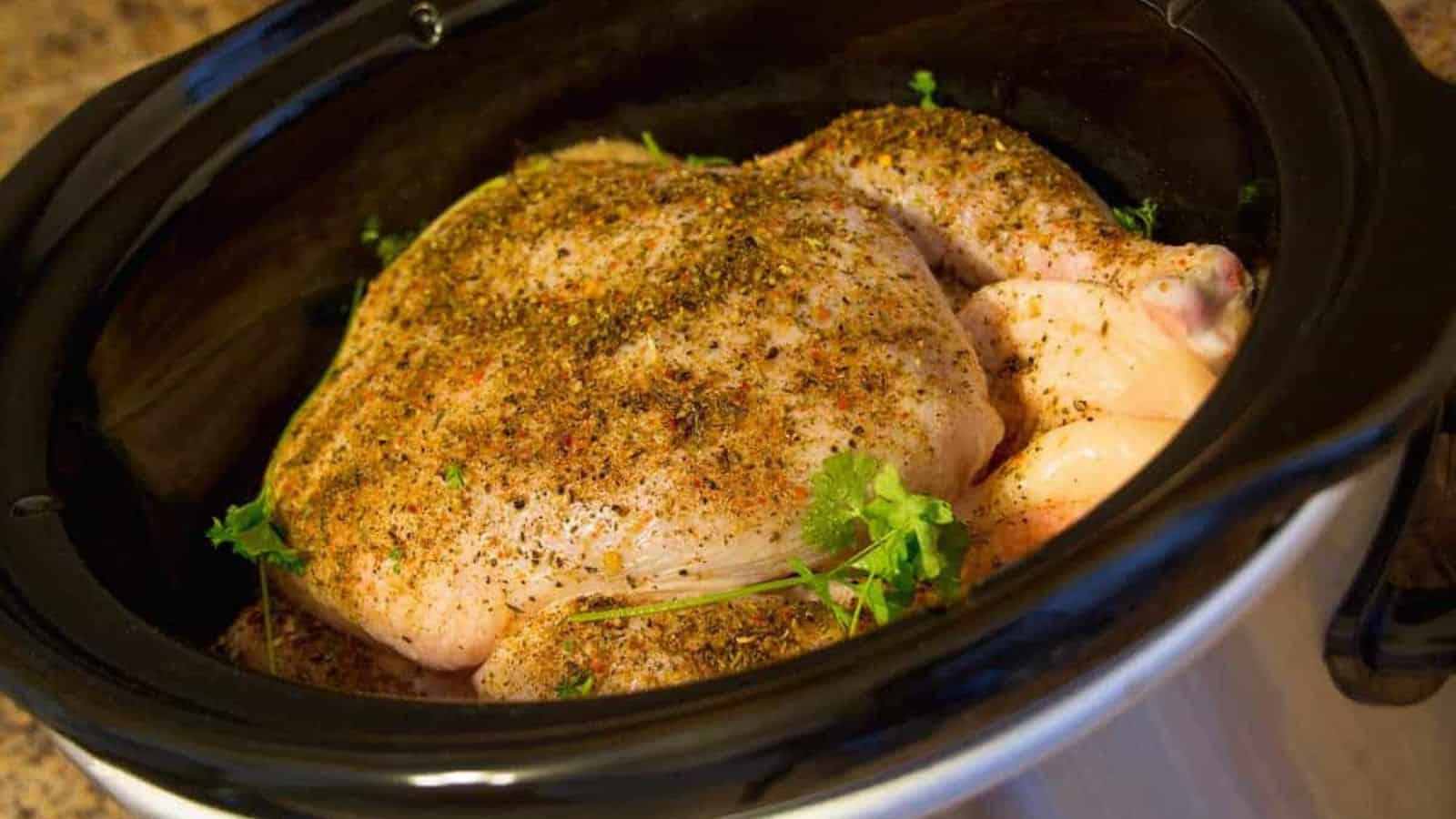 A whole chicken seasoned with herbs and spices in a slow cooker, ready to be cooked.